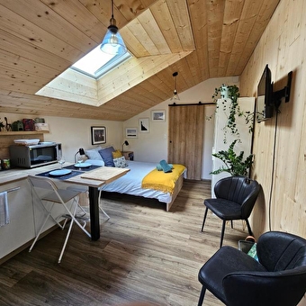 Sous le Saule - LES PREMIERS SAPINS