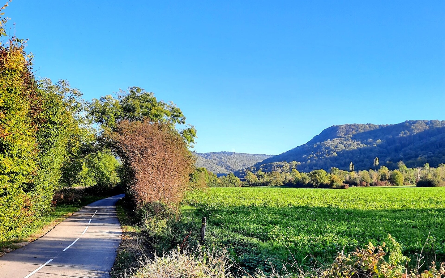 Voie Verte de la Vallière