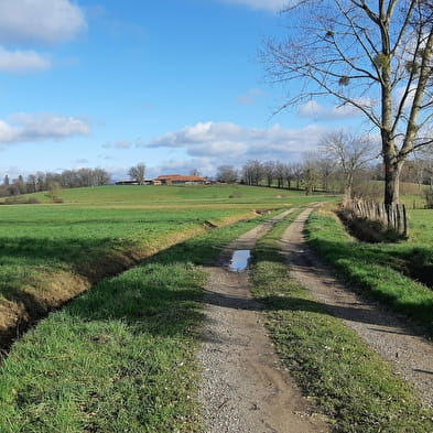 Etang des Baisses et ferme de Bévey (VTT)