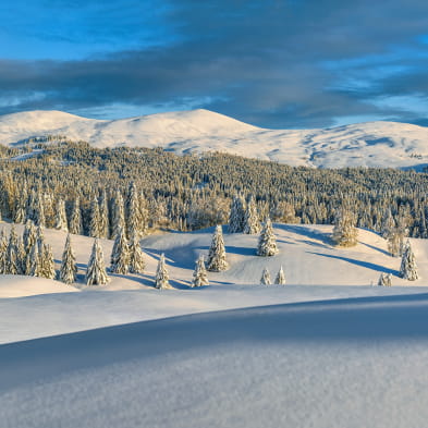 Snowshoe trek across the Jura