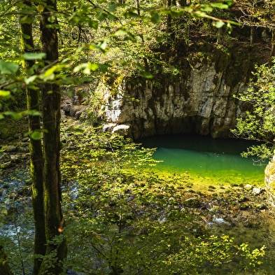 Discovery tour of Bienne