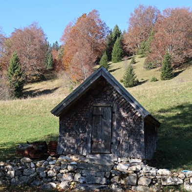Sentier des Diots du Jura 