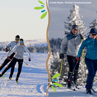Michel Sports - LA PESSE