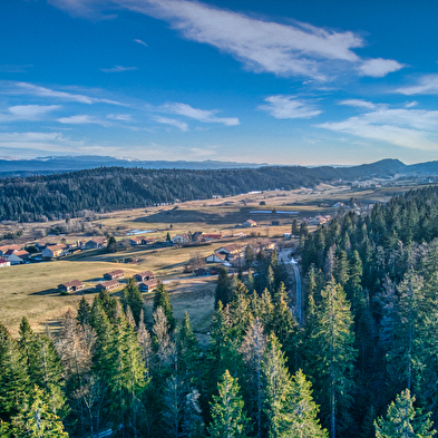 Autumn Walking/Well-being Stay