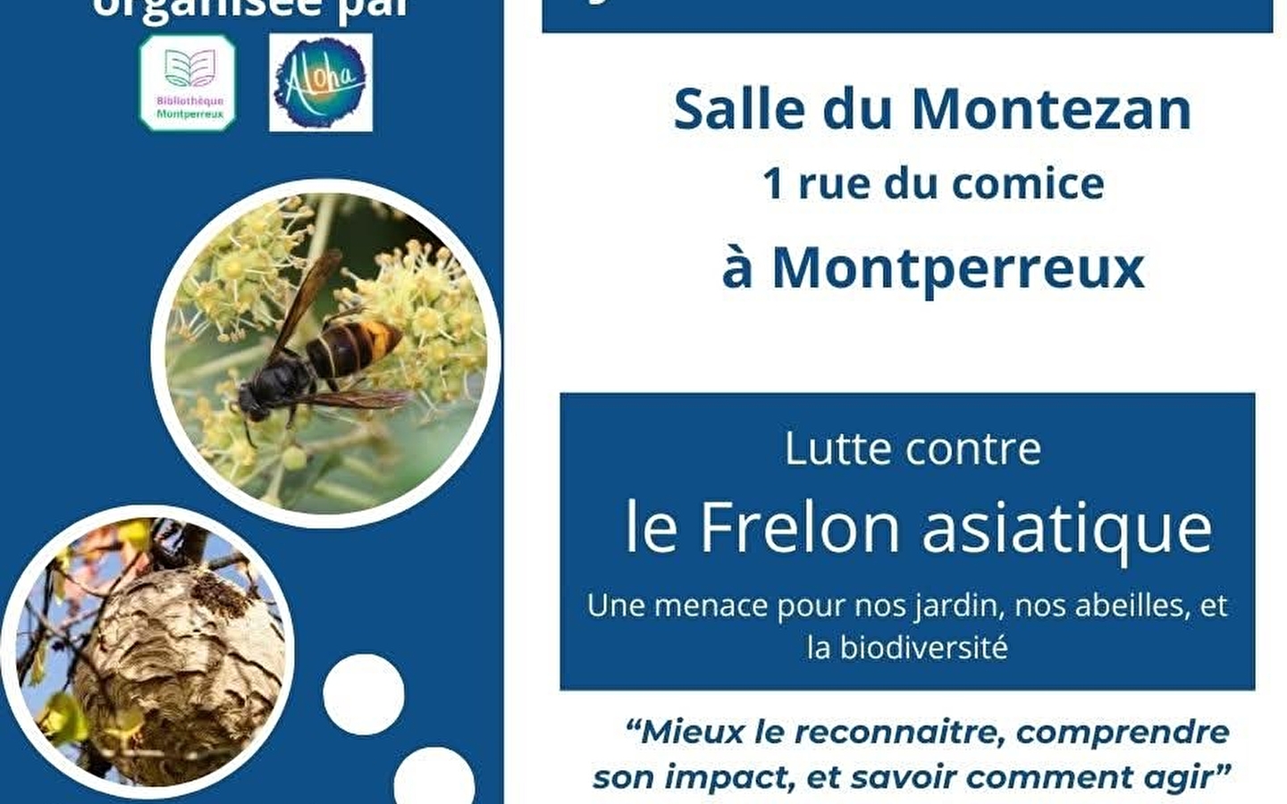 Public meeting - The fight against the Asian hornet