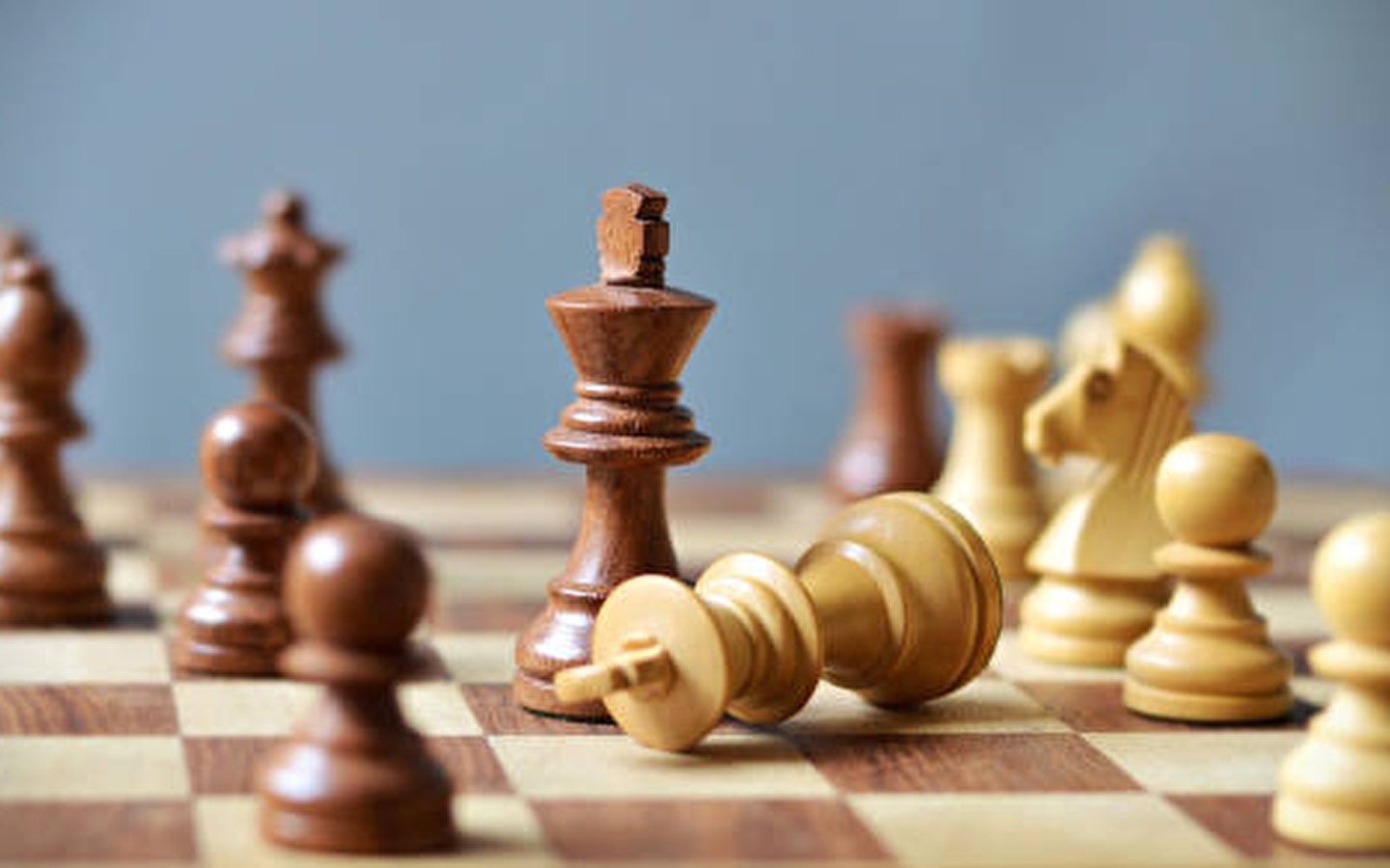 Initiation Échecs