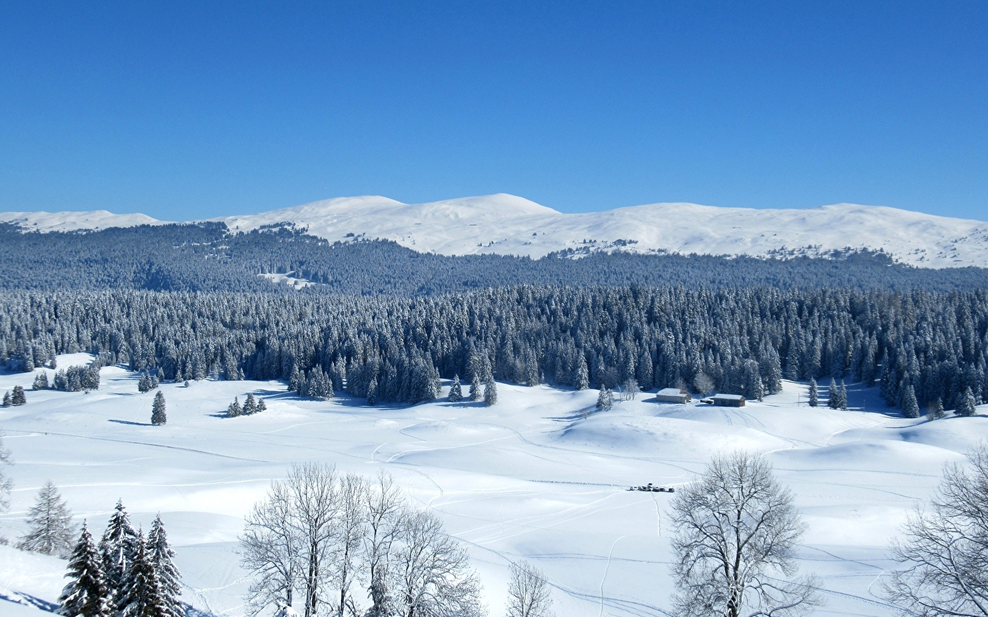 Discover the Hautes-Combes du Jura on snowshoes