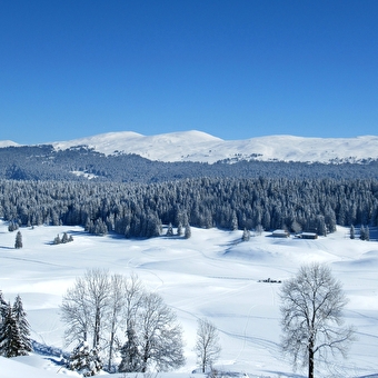 Discover the Hautes-Combes du Jura on snowshoes - SEPTMONCEL LES MOLUNES