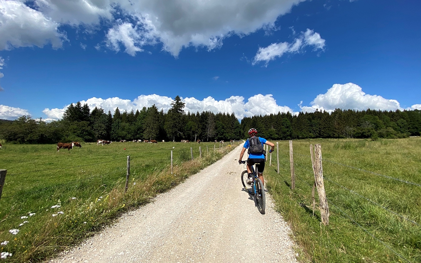 Guided mountain bike ride