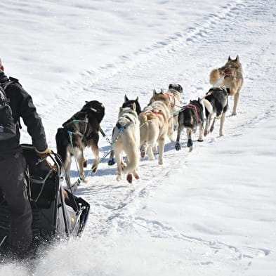 Baptême en chiens de traîneau Evasion Terre-Neige