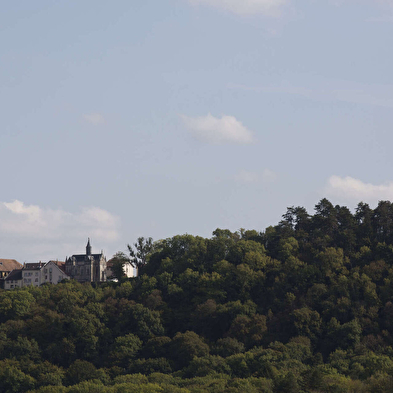 Biodiversity along the Via Francigena