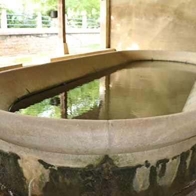 Verjon, au fil de l'eau
