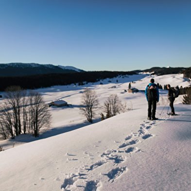 Discover the Hautes-Combes du Jura on snowshoes
