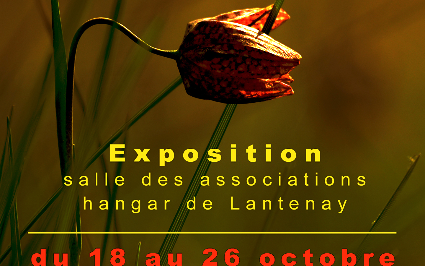 Exposition Lantenay d'hier à aujourd'hui