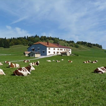 Gîte n°G429 - BELLECOMBE