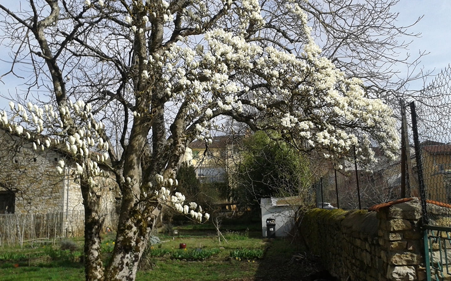 Le jardin de la Brèche - 'Sérendipité' exhibition 