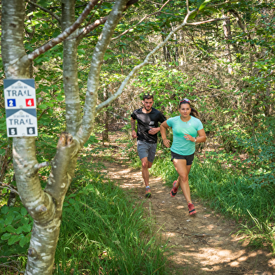 Trail de la Grande Montagne