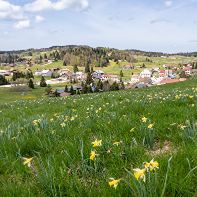 LA PESSE