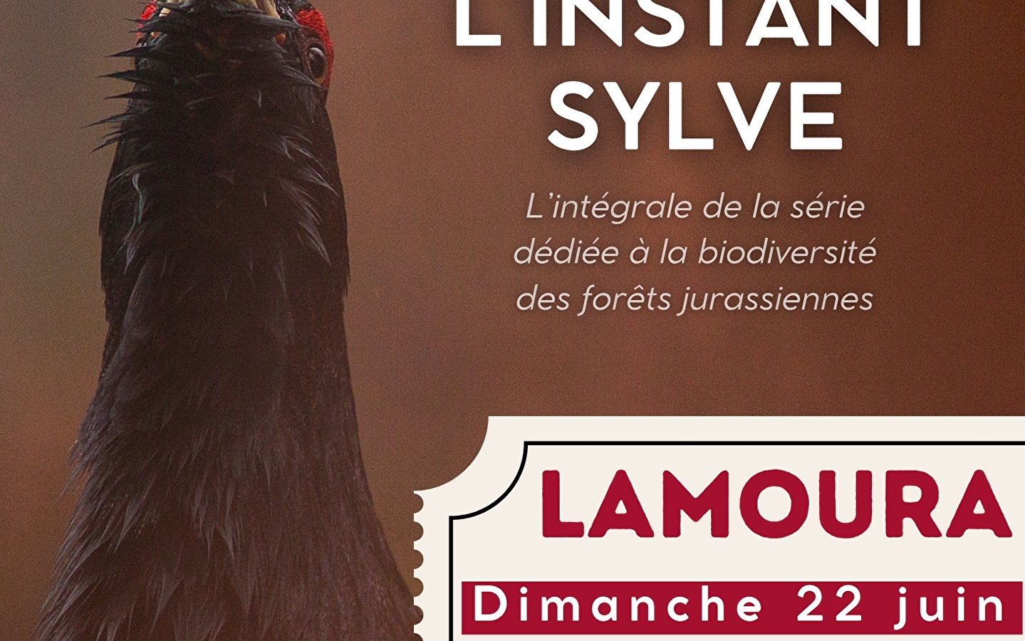Nature screening: L'instant sylve