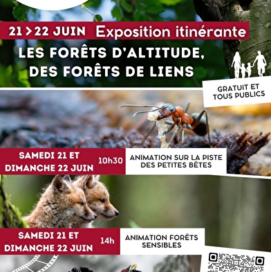 Nature screening: L'instant sylve