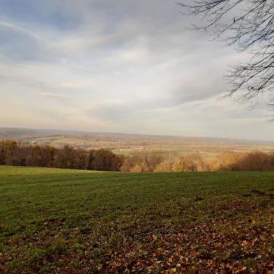 Les Hauts de Divicius trail