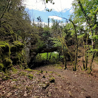 Larnod discovery trail 