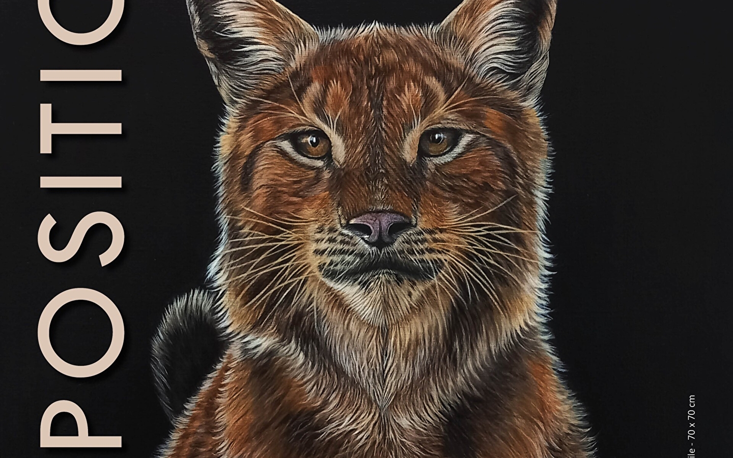 Wildlife exhibition