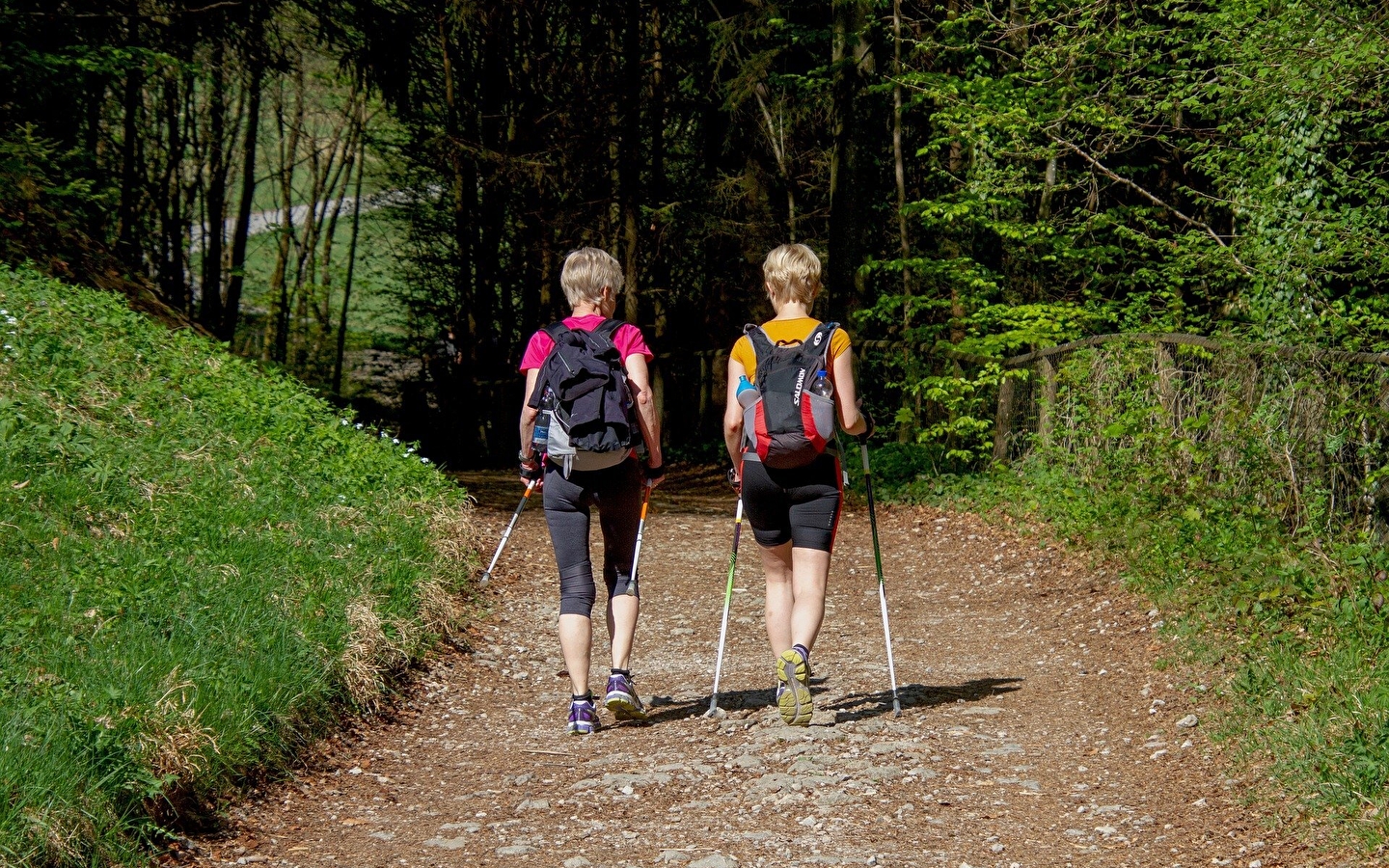 Nordic walking - Montandon