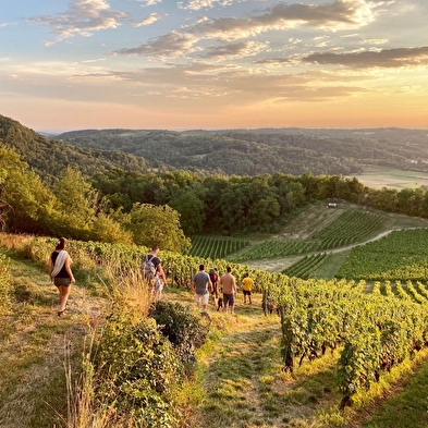 Balades apéro Sunset dînatoires