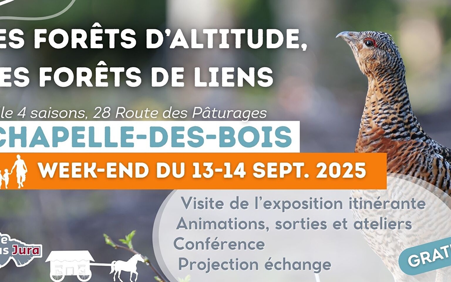 High altitude forests, forests of links: exhibition, events, projection