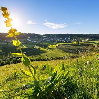 La Combe Romanet - NANCHEZ
