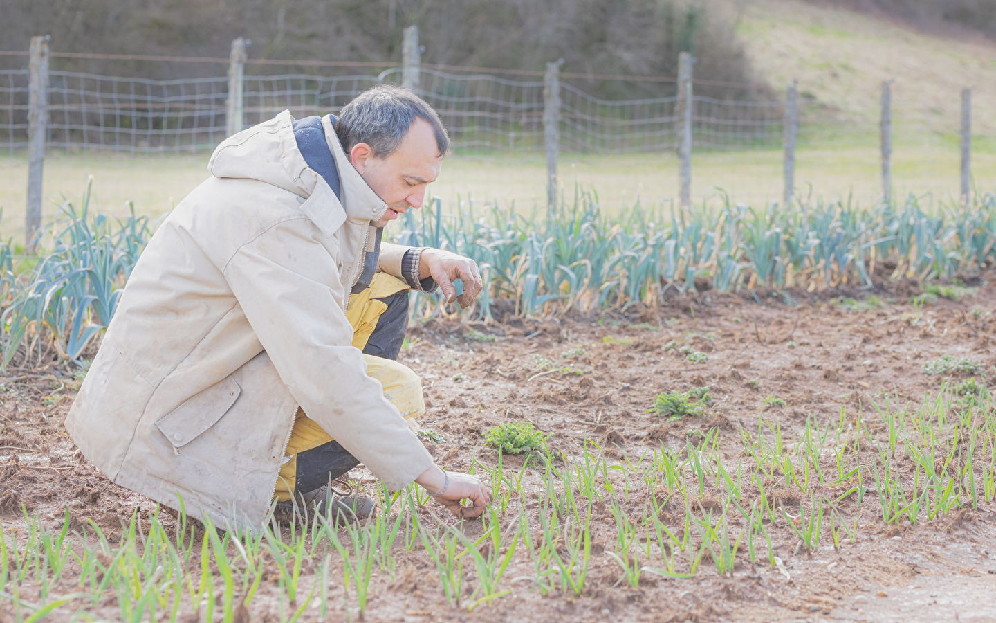 Le Potager de Ceignes