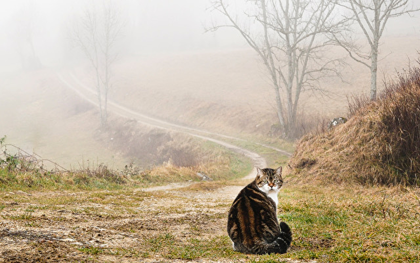 Exposition à la Fourmi Verte