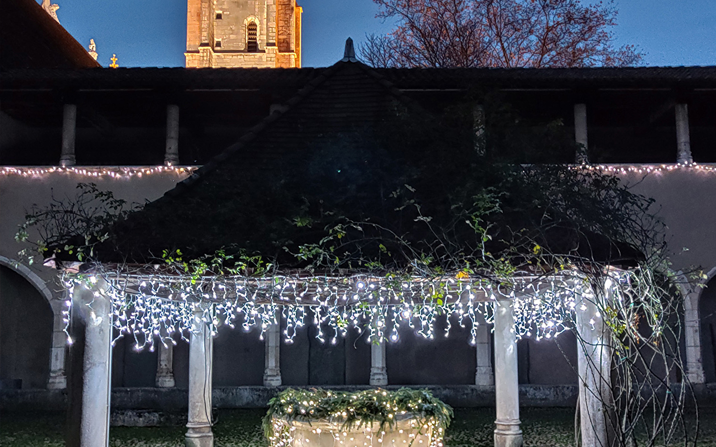 Lumières enchantées