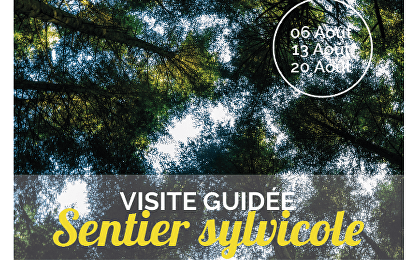 Guided tour of the Orgelet forestry trail