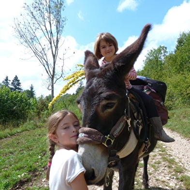 Promenade avec des ânes de bât et découverte de la ferme.