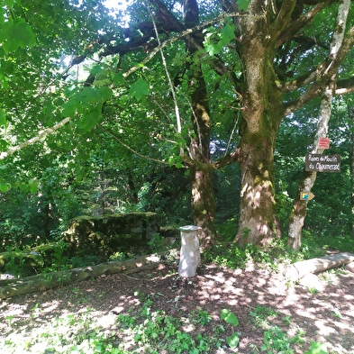 From upstream corner to downstream corner