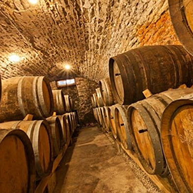 Domaine Credoz