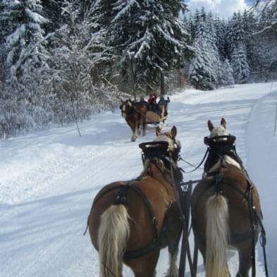 Family holidays in the Land of the reindeer