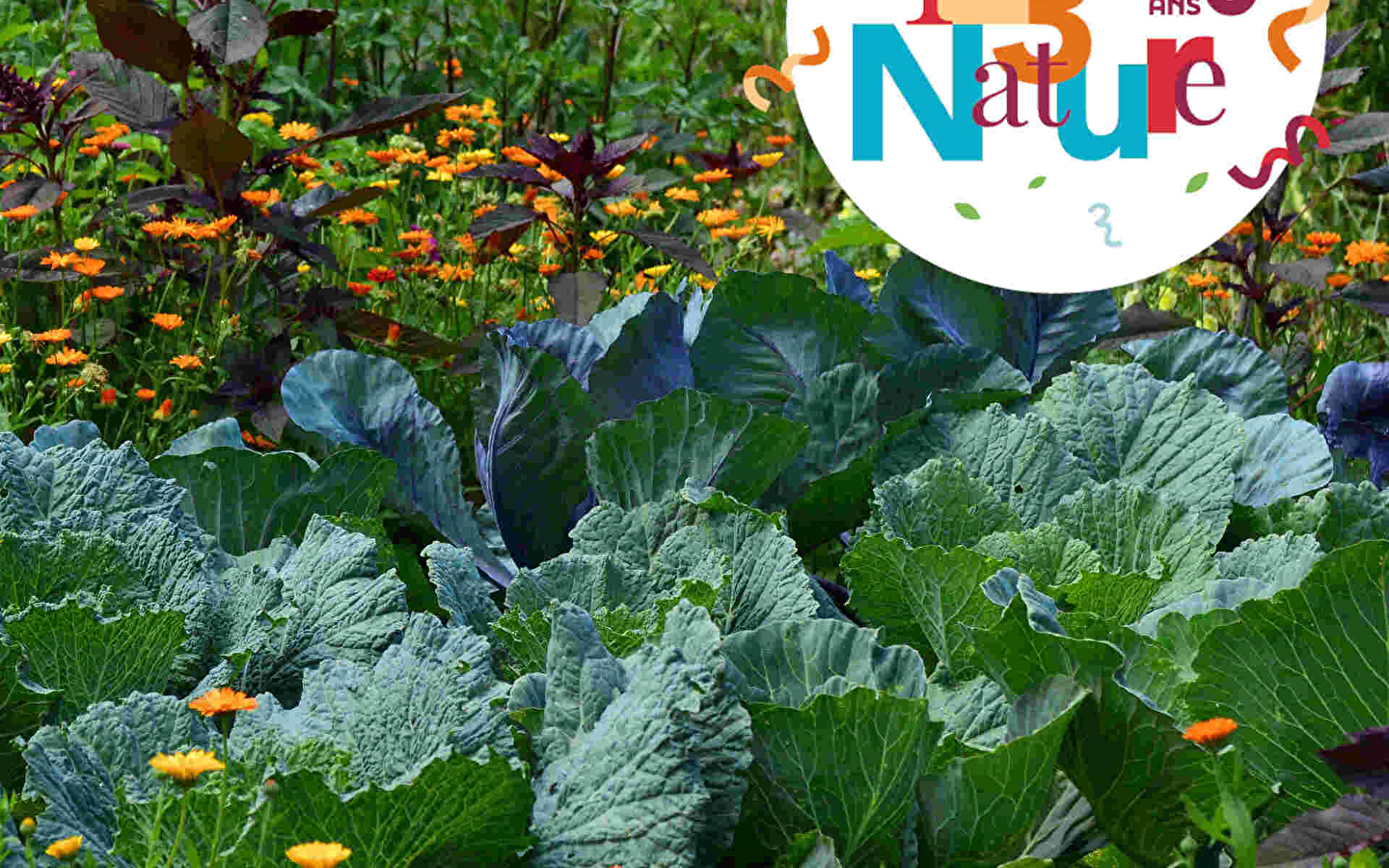 123 NATURE FAMILY WORKSHOP: FLOWERS FROM THE GARDEN TO THE BOUQUET