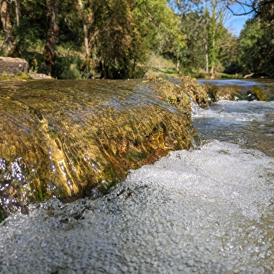 Mount guillon walking loop