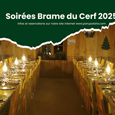Deer roaring evenings 2025