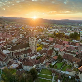 Explore your senses in the heart of the Jura - FAY-EN-MONTAGNE