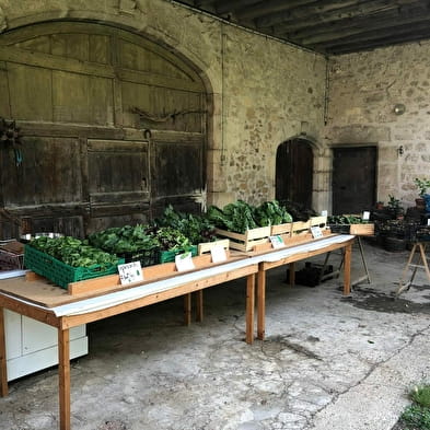 GAEC Les Jardins de Ruffieu - Maraichage bio