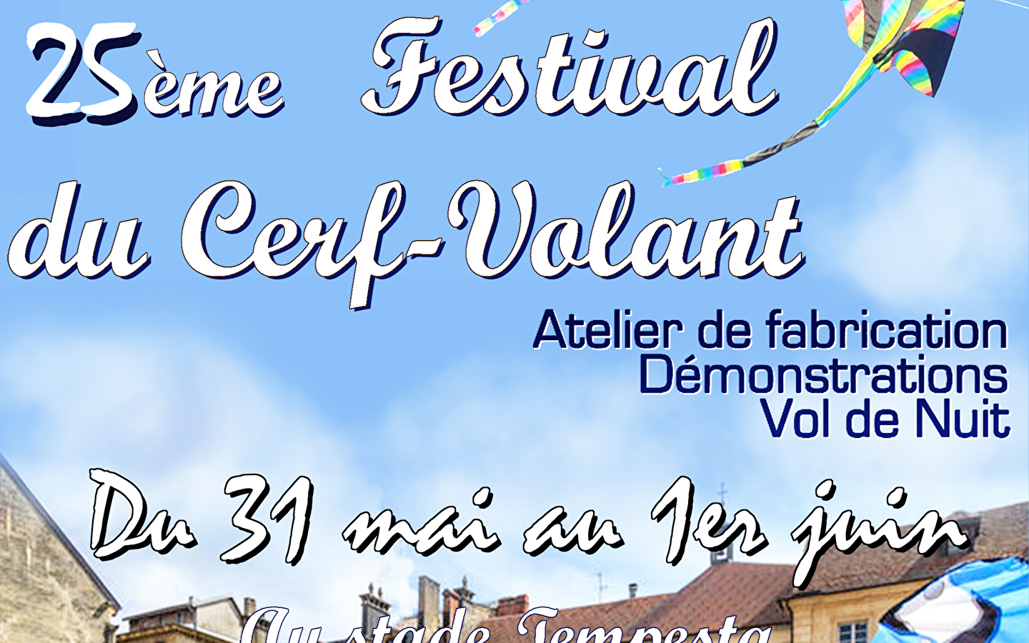25th Kite Festival
