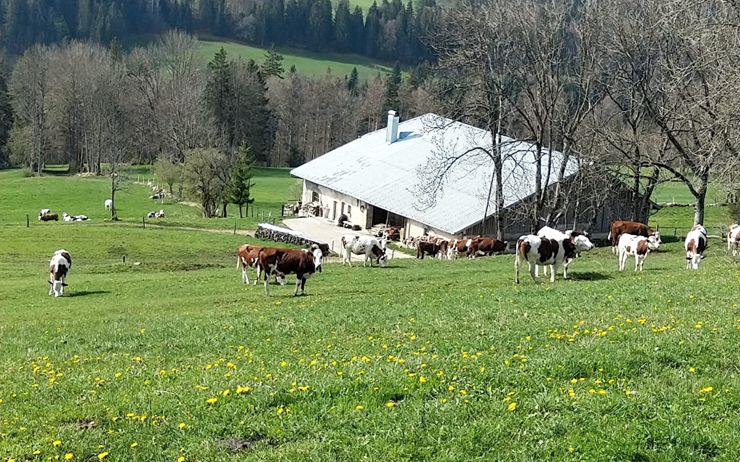 Gîte Les Pâturages