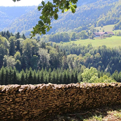 Stone wall(s)
