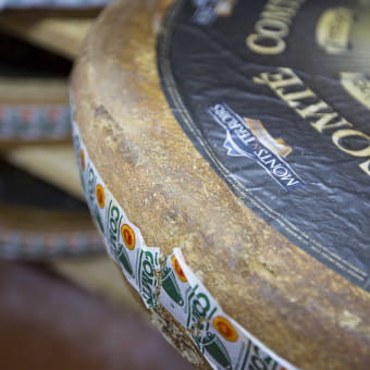 Monts et Terroirs - Fromagerie de la Vallée de l'Ain - PONCIN