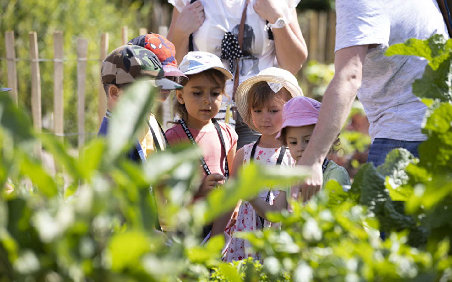 Spring workshops
