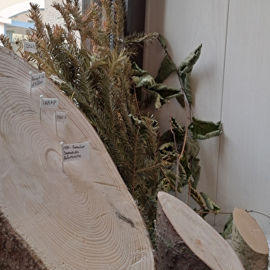 Apéro’Archéo au Musée Archéologique d'Izernore